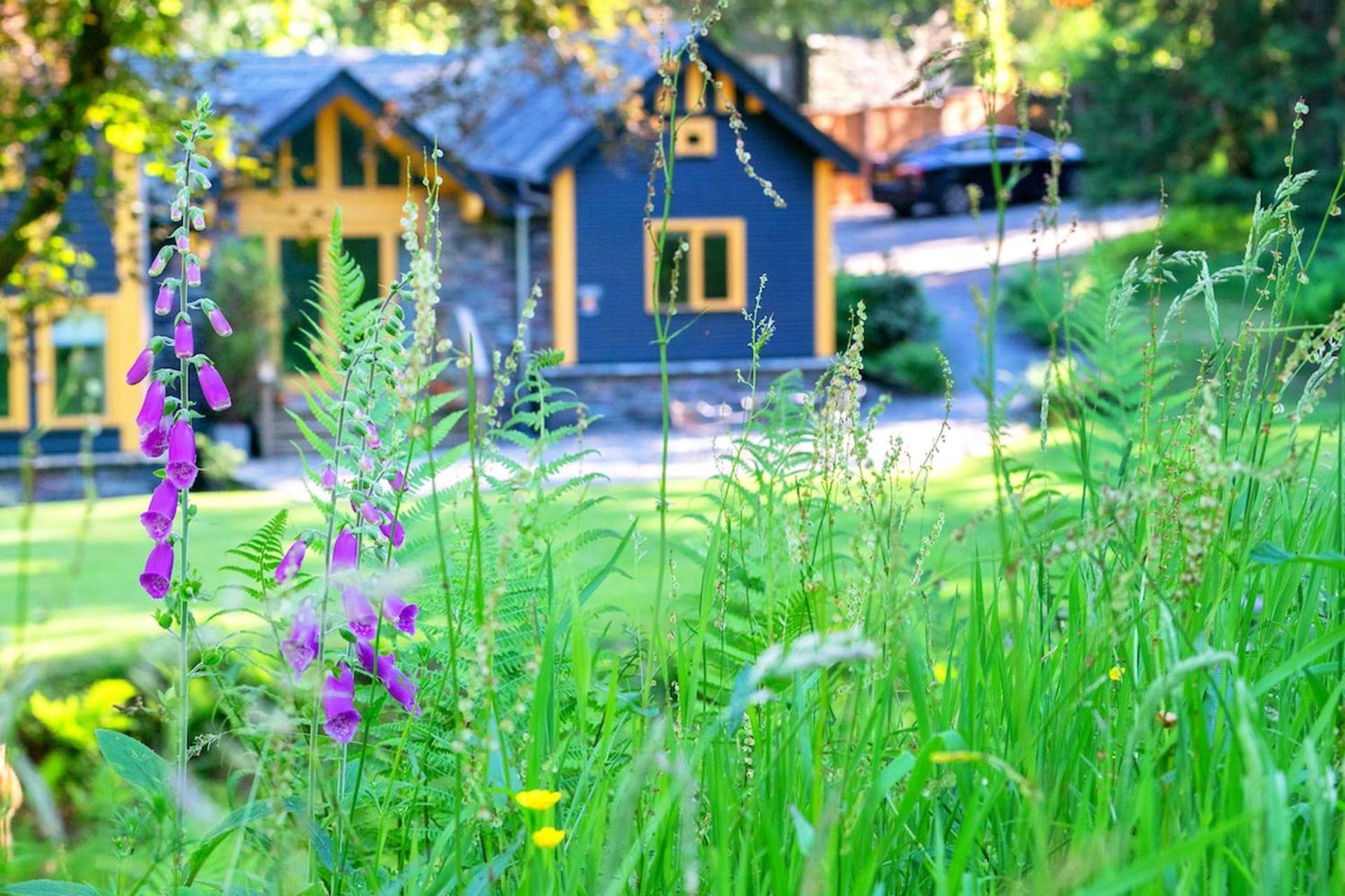 Carr Crag Pavilion Little Langdale 外观 照片